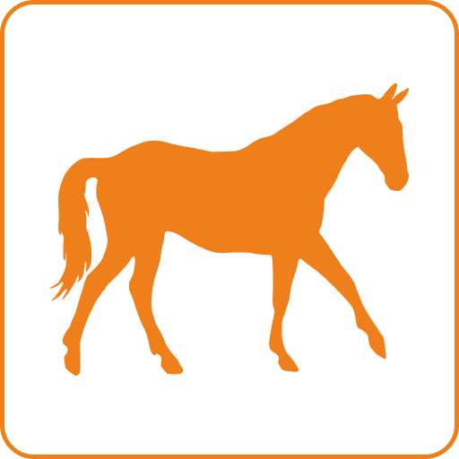 Верховая езда